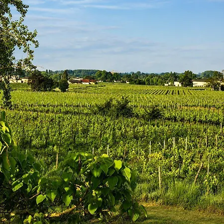 Chateau Alto Cormeil * Saint-Émilion